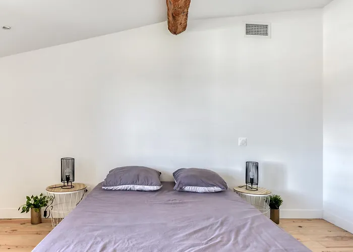 Apartment Le Maquens - Parking Gratuit - Wifi - Netflix Carcassonne